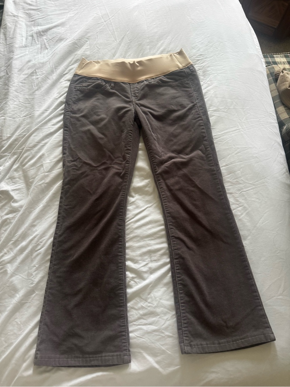 Gap 1969 Maternity Waist Brown sexy booth with Tan Waistband 28/6